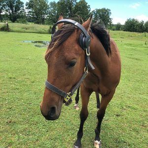 Meet your Posher, Nichyla